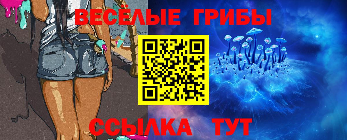 Псилоцибиновые грибы GOLDEN TEACHER  Вход с VPN  Чехов 