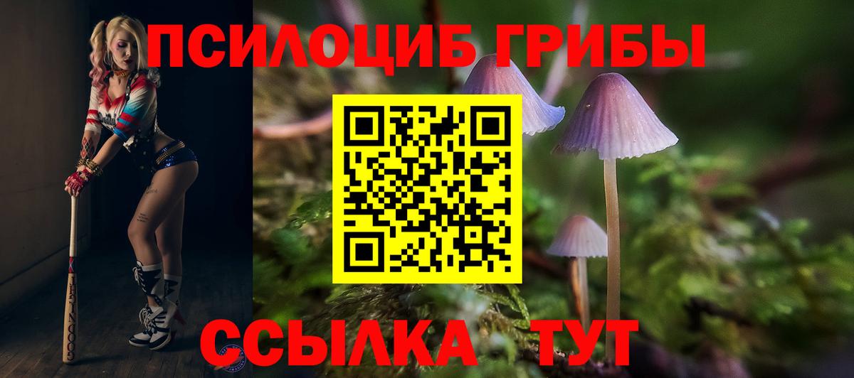 Псилоцибиновые грибы ЛСД Чехов